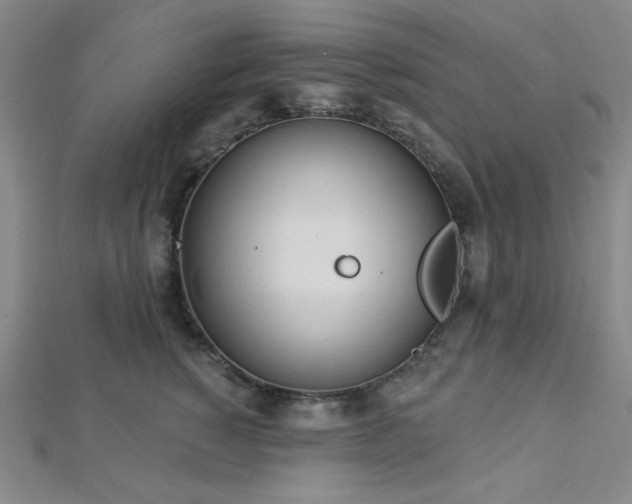 X0000112720760200908201248