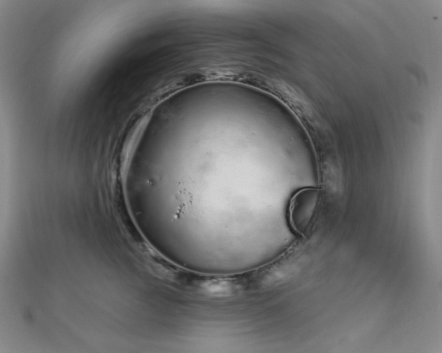 X0000112720761200908201248