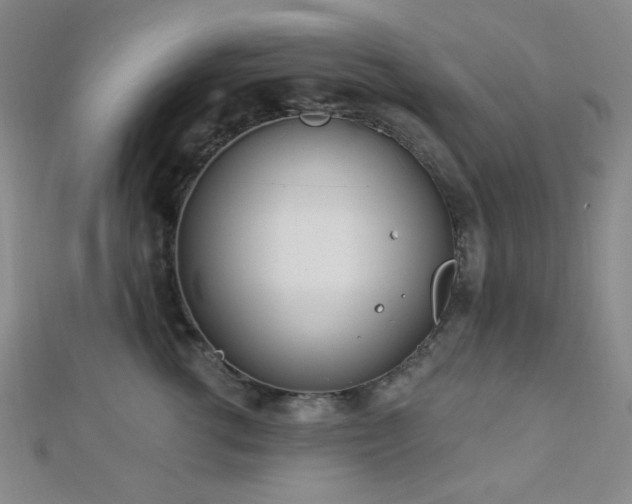 X0000112720762200908201248