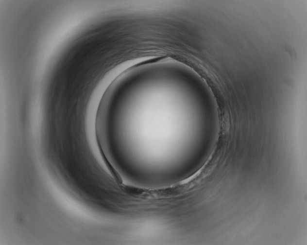 X0000112720764200908201248