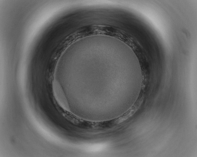 X0000112720765200908201248