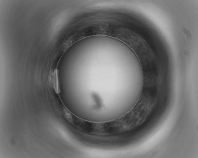 X0000112720766200908201248