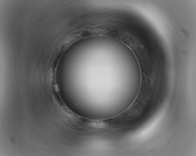 X0000112720767200908201248