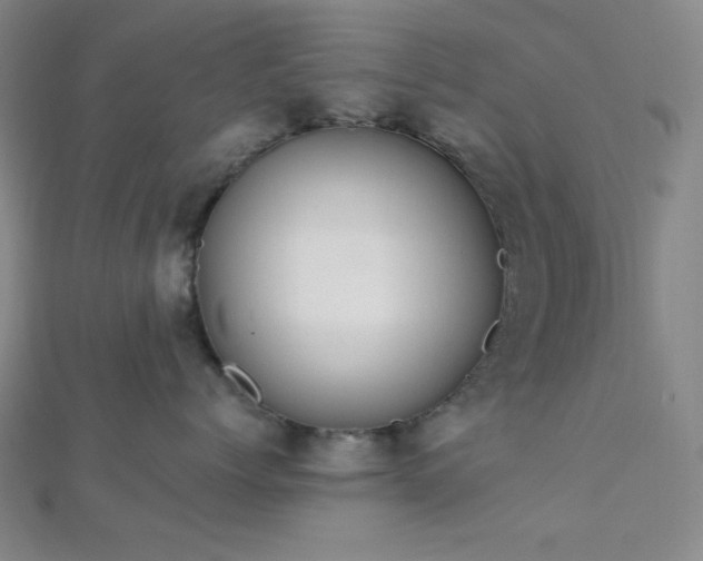 X0000112720768200908201248