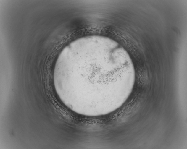 X0000112720769200908201247