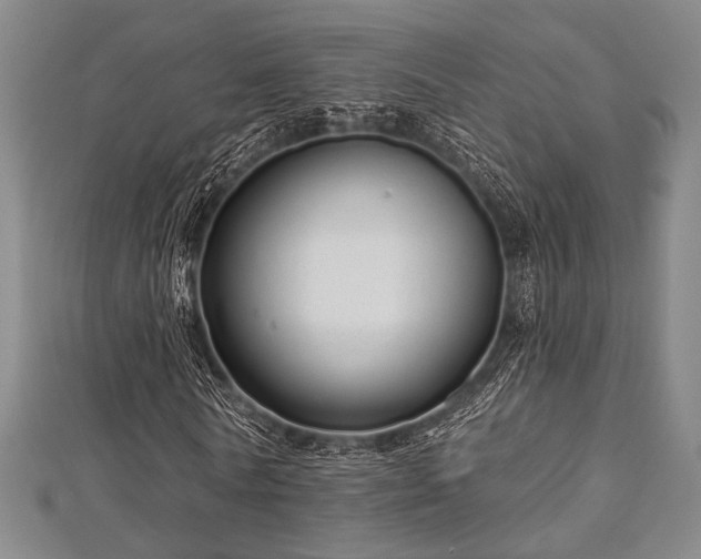 X0000112720770200908201247