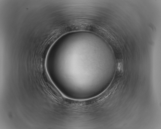 X0000112720771200908201247