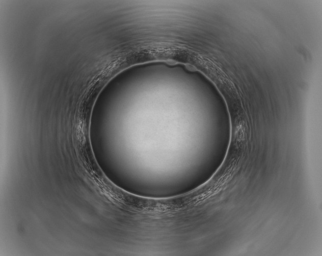 X0000112720772200908201247