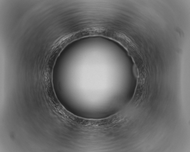 X0000112720773200908201247