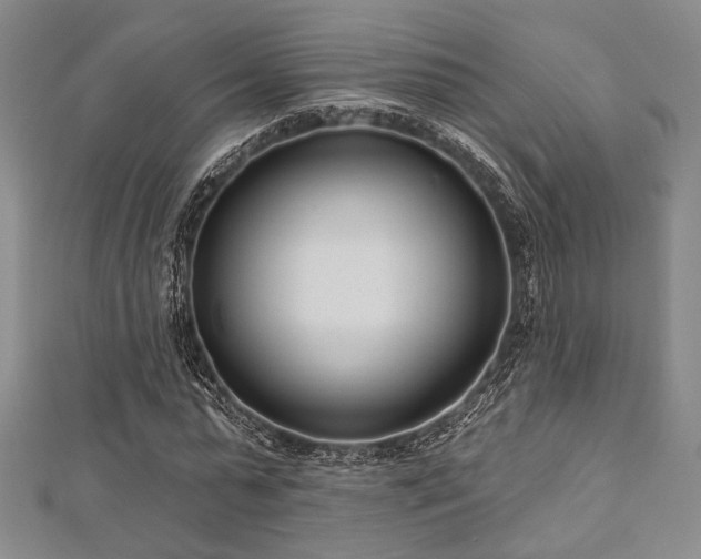 X0000112720775200908201247