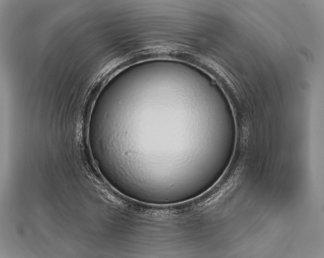 X0000112720778200908201247