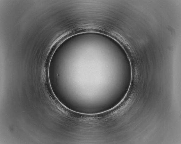 X0000112720782200908201247