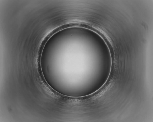 X0000112720783200908201247