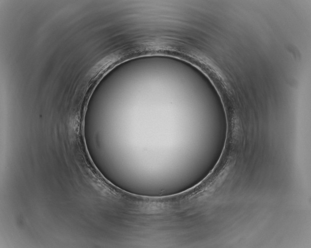 X0000112720785200908201247