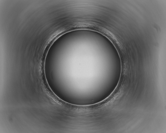 X0000112720786200908201247