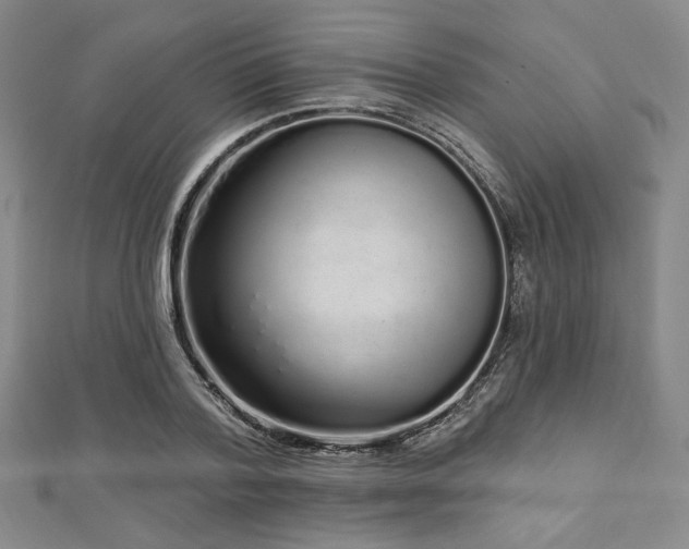 X0000112720788200908201247