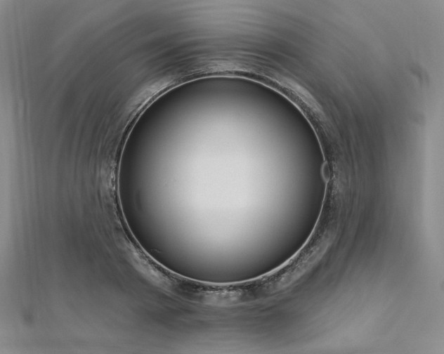 X0000112720793200908201247
