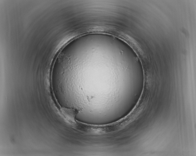 X0000112720794200908201247