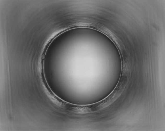X0000112720795200908201247