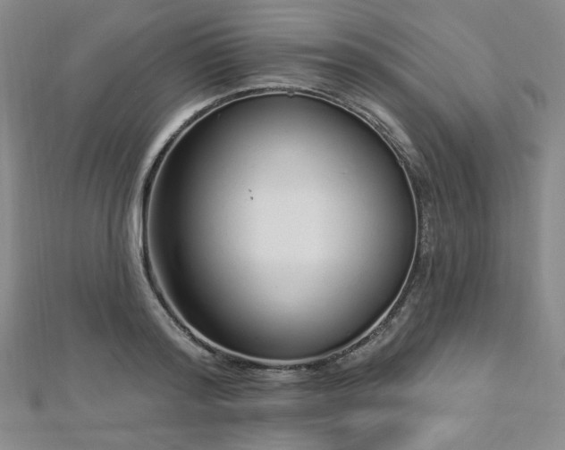 X0000112720796200908201247