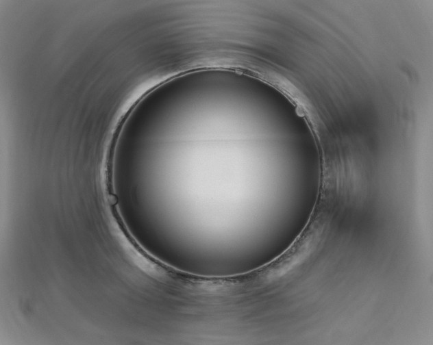 X0000112720803200908201247