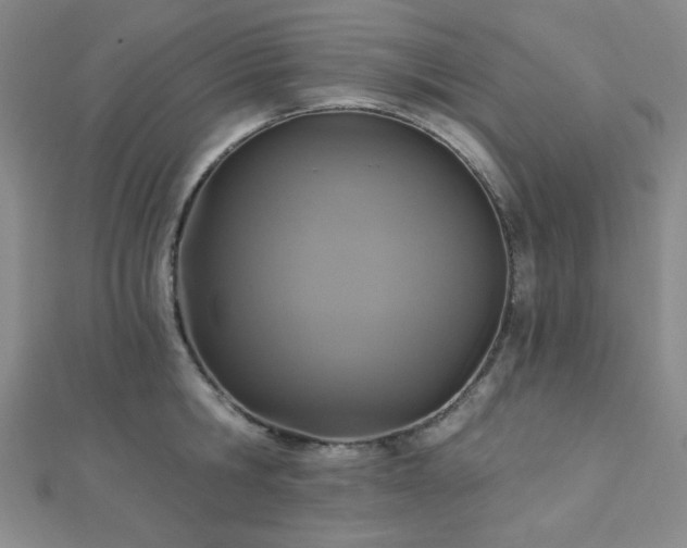 X0000112720806200908201247