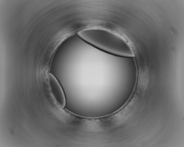 X0000112720809200908201247