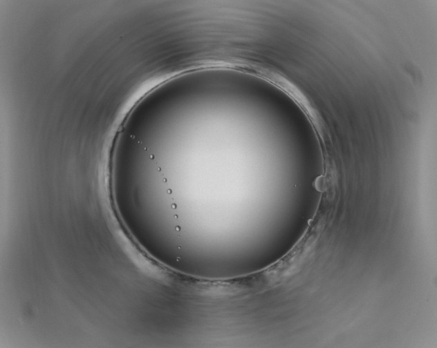 X0000112720811200908201247
