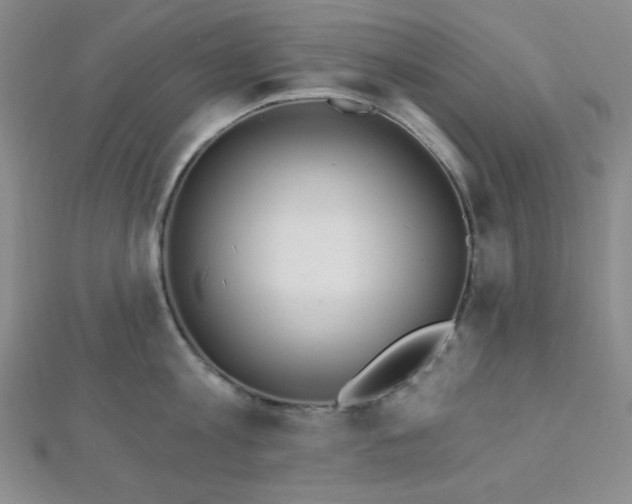 X0000112720813200908201247