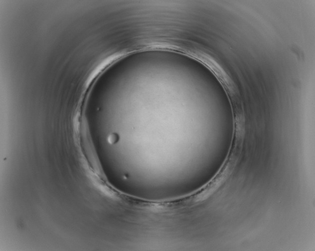 X0000112720814200908201247