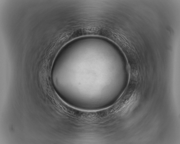 X0000112720817200908201246