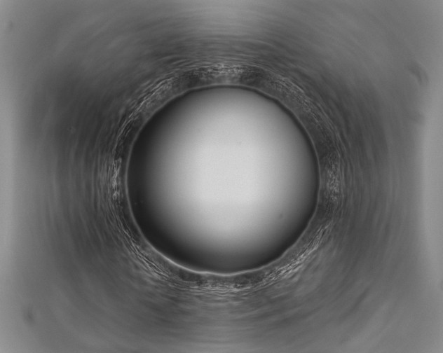 X0000112720818200908201246