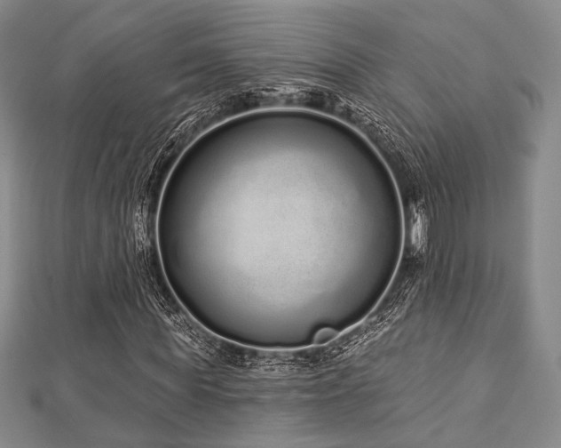 X0000112720819200908201246