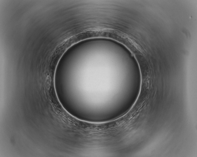 X0000112720821200908201246