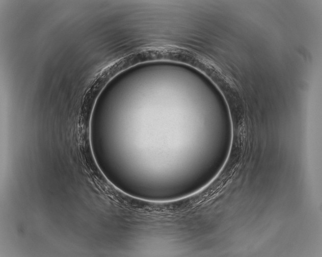 X0000112720822200908201246