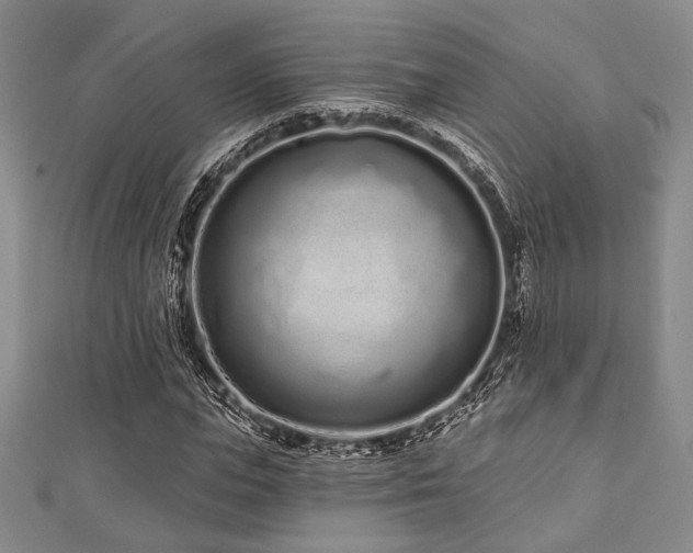 X0000112720823200908201246
