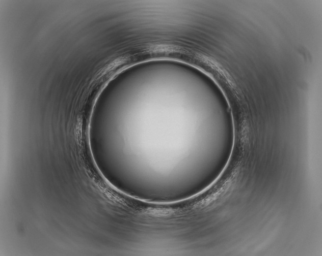 X0000112720825200908201246