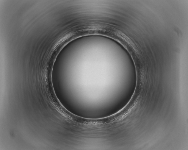 X0000112720826200908201246