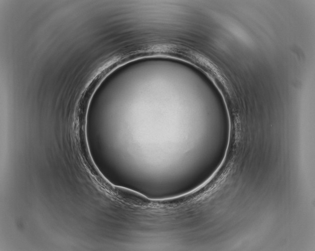 X0000112720827200908201246