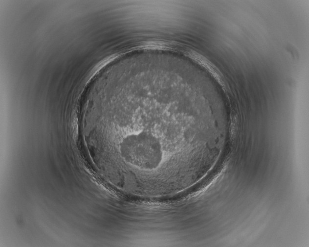 X0000112720829200908201246