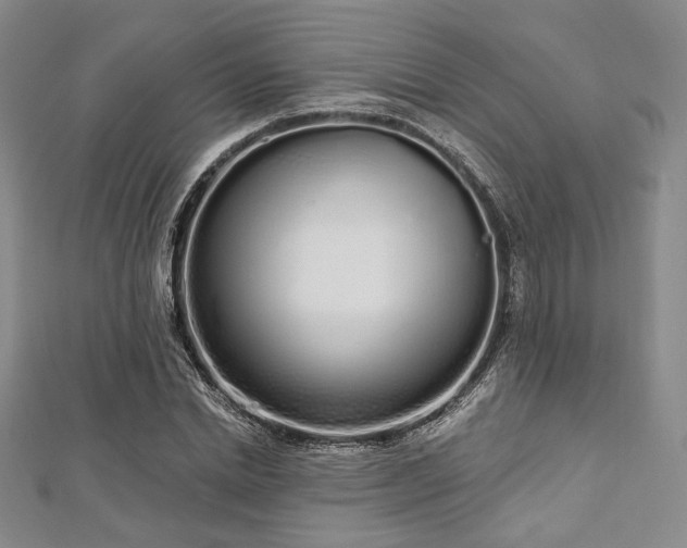 X0000112720830200908201246