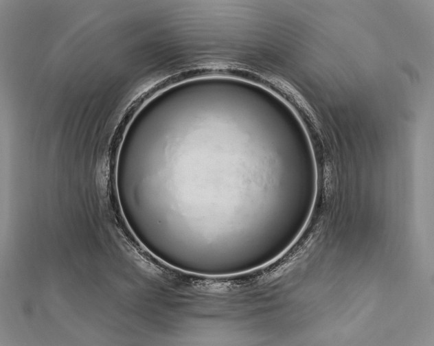X0000112720831200908201246