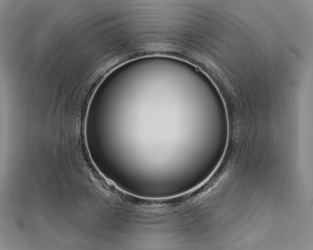 X0000112720833200908201246