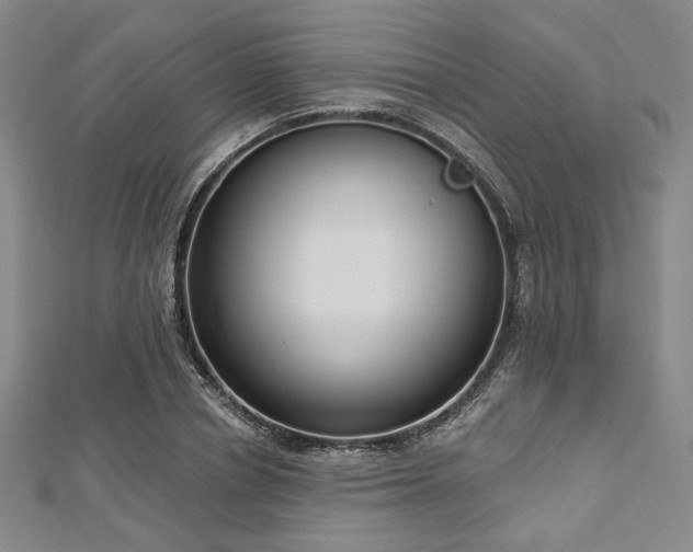 X0000112720834200908201246