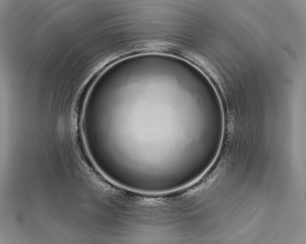 X0000112720835200908201246