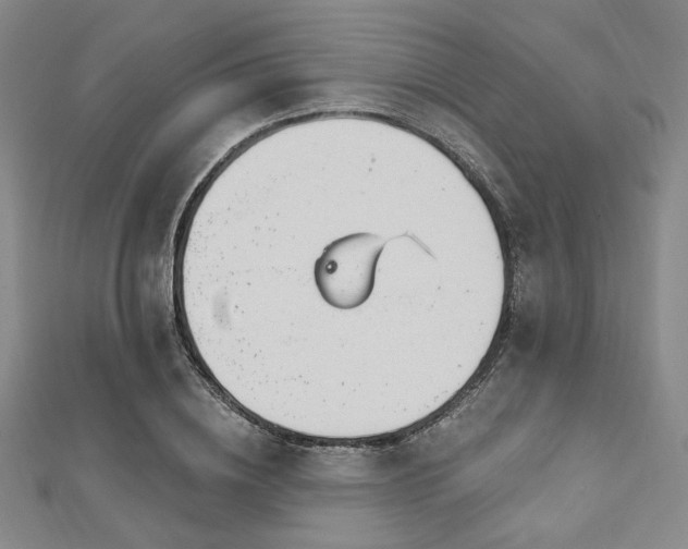 X0000112720836200908201246