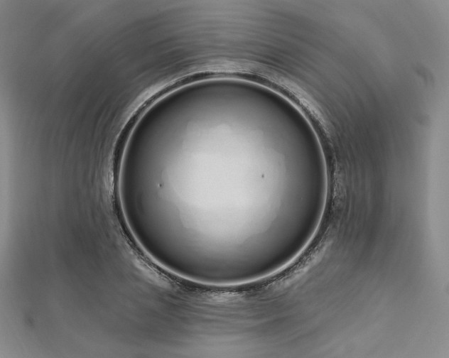 X0000112720837200908201246