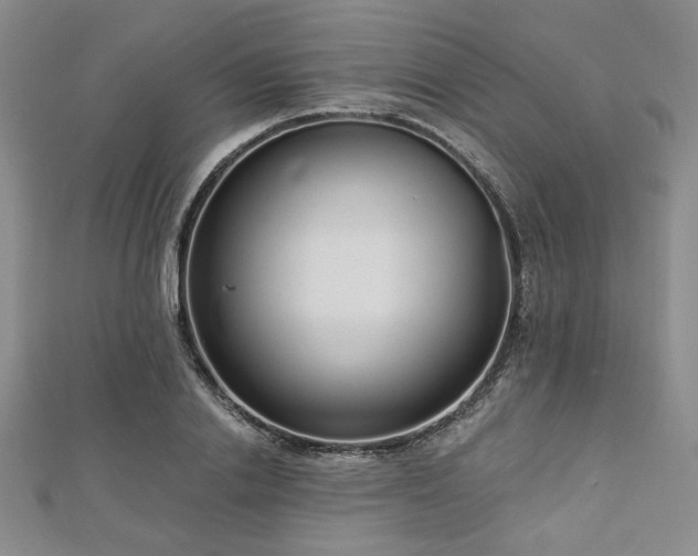 X0000112720838200908201246