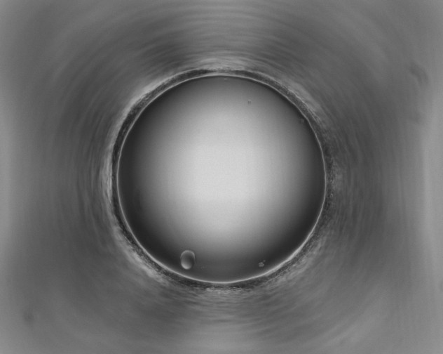 X0000112720840200908201246