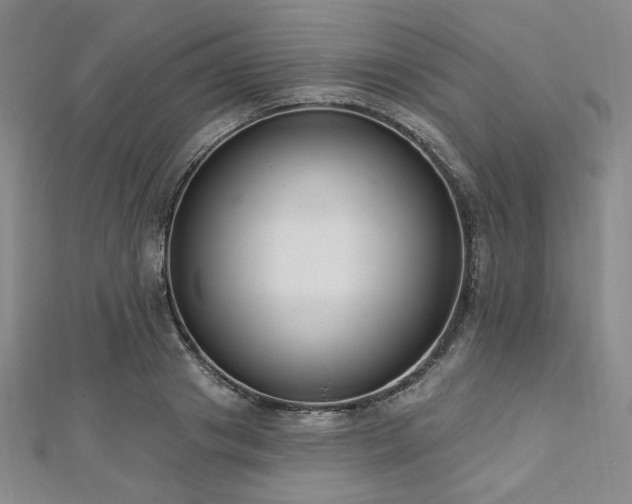 X0000112720841200908201246